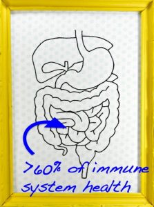 Immune system and gut health