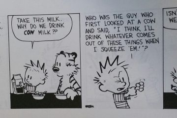calvin and hobbes cows milk