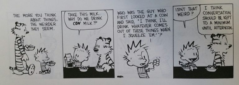 calvin and hobbes cows milk